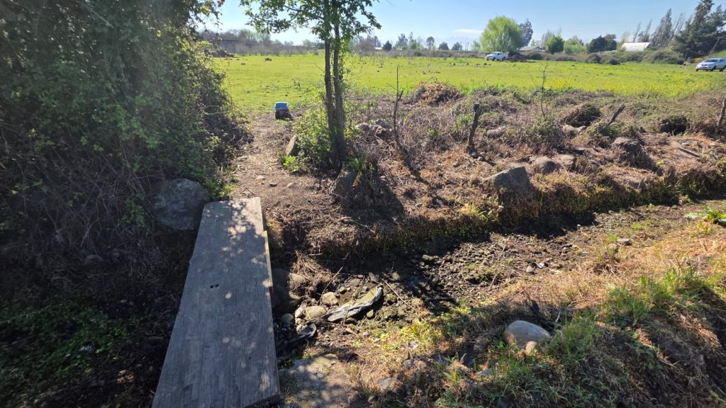 Terreno del futuro Loteo El Llano en la comuna de Rauco