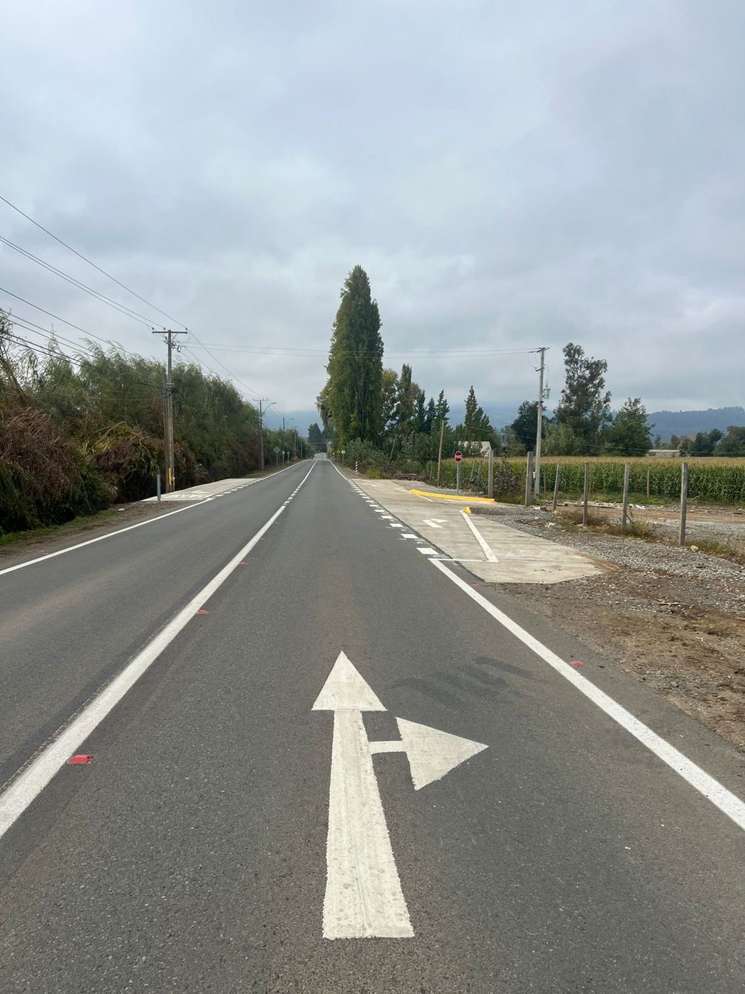 Acceso Vial Tradición de Sabores – Colbún