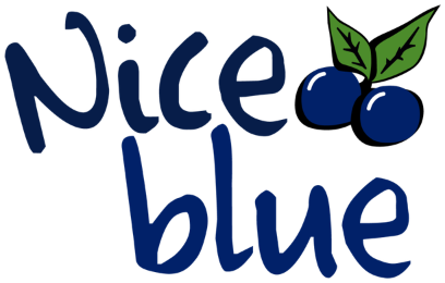 Logo Nice Blue